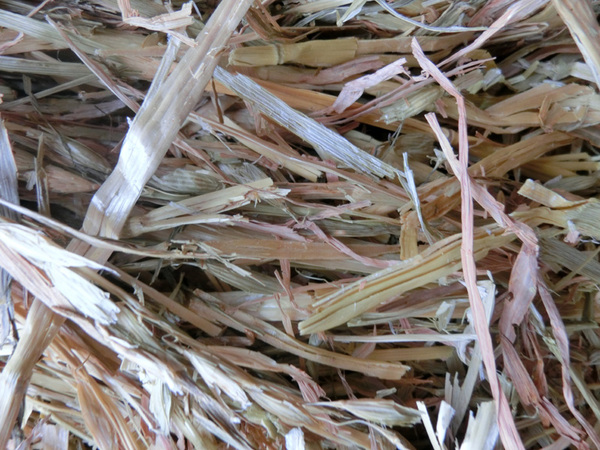 宠物干草澳洲黄金燕麦草1斤香甜兔子干草兔草龙猫豚鼠牧草8斤包邮