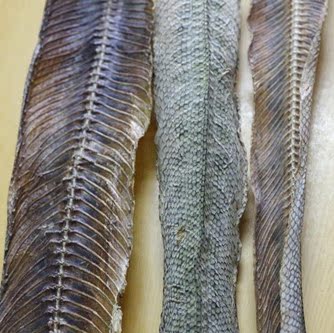 湛江特产/海蛇干 500g(每条约50-100g不等)购买少量咨询掌柜