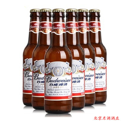 包郵 百威啤酒 小瓶百威330ml*6瓶玻璃瓶裝百威啤酒特價 夜場用酒