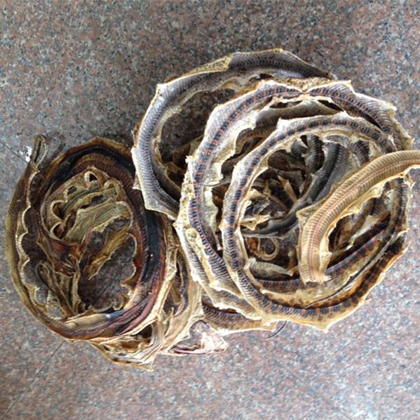 正品 蕲蛇 泡酒必备 中药材批发 250克65元