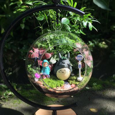 苔藓微景观生态瓶奇趣绿植创意办公室迷你植物diy龙猫盆栽