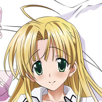 high school dxd 恶魔高校 爱莎 动漫等身抱枕萌妹子定制b2561
