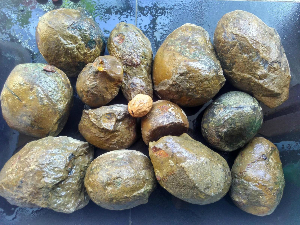 宣化上谷战国红玛瑙原石大赌石纯赌石100元3个包邮