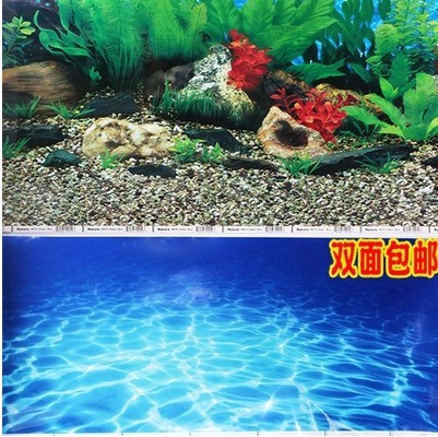 包郵水族箱雙面背景 壁紙壁畫背景畫貼紙 魚缸背景畫高清加厚