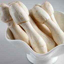 新鲜蘑菇 新鲜鸡腿菇 新鲜菌菇 火锅小炒 500g