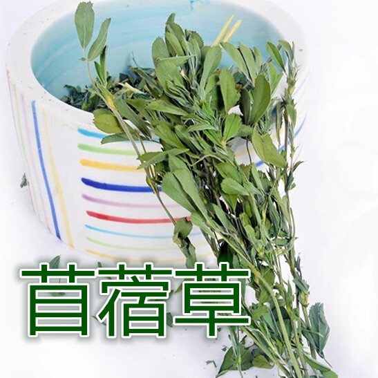 苜蓿草牧草 清香乾草 甘草 荷蘭鼠飼料 小寵鼠類 兔子飼料