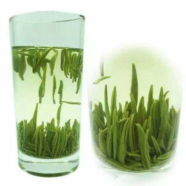 2016年新茶叶上犹剑绿茶江西赣南五指峰特产云雾高山茶包邮