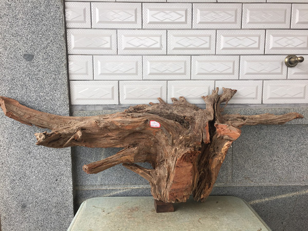 野生红豆杉老根 实木根雕原材料 红豆杉根雕随型摆件料原木