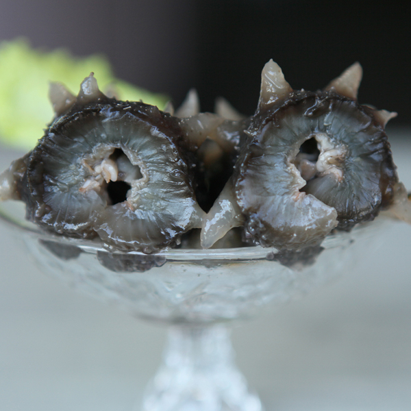 张奶奶海参大连獐子岛即食海参批发免泡发更方便包邮顺丰