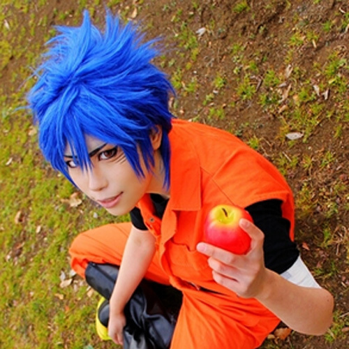 美食的俘虜 阿虜 toriko 大哥同人 妖精的尾巴 傑拉爾cosplay假髮