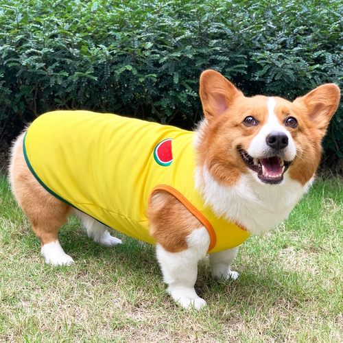 Корги собачья одежда Летний жилет в летнем тонкий маленький и средний собаки против боевых щенков Шиба Ину би -бир