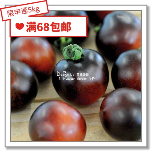 Huayuan Pickles Импортированные растительные семена*Британский TM*Томат*Сладкий миллион/черная вишня/перевернутые томы 5-10 капсул