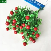 Mô phỏng cây ăn quả anh đào đỏ tiêu chụp đạo cụ hoa trang trí nhà trang trí nhựa nước cỏ bọt trái cây - Hoa nhân tạo / Cây / Trái cây