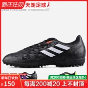 Bóng đá Tianlang Adidas đích thực CONQUISTO II TF cỏ người bị gãy móng tay giày bóng đá BB0560