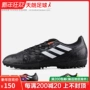 Bóng đá Tianlang Adidas đích thực CONQUISTO II TF cỏ người bị gãy móng tay giày bóng đá BB0560 giày đá bóng adidas