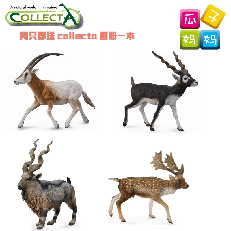 Collecta me you him Ấn Độ blackbuck kudu đực vịt hươu nai linh dương mô phỏng mô hình đồ chơi - Đồ chơi gia đình