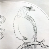 Песня люди, птицы, птицы, китайские рисунки, цветочные, цветочные, птицы, рисование кисти классическая модель рисование цветы и птицы