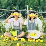 Фотостудия, свадебное платье, детский фотореквизит, имитация желтого и зеленого лимона, фрукты, ломтики арбуза, очки, желтое украшение, съемка