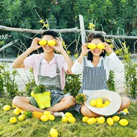 Детский реалистичный лимонный реквизит подходит для фотосессий, фруктовые желтые очки, украшение