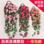 Mô phỏng hoa hồng mây giả hoa treo giỏ trang trí hoa cây nho nhựa hoa mây trong nhà phòng khách treo tường - Hoa nhân tạo / Cây / Trái cây cây xương rồng giả