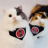 Оригинальный аксессуар, шарф, шейный платок