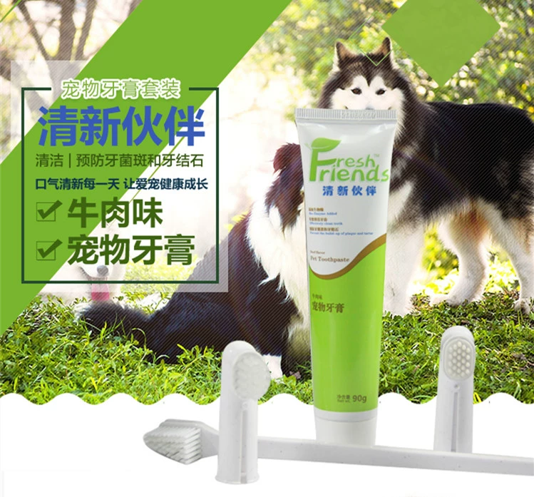 Pai Rui Pet Cat Kem đánh răng cho chó Bàn chải đánh răng Đồ dùng làm sạch răng miệng Teddy Tooth Stones Chó và mèo Hơi thở có mùi hôi - Cat / Dog Beauty & Cleaning Supplies