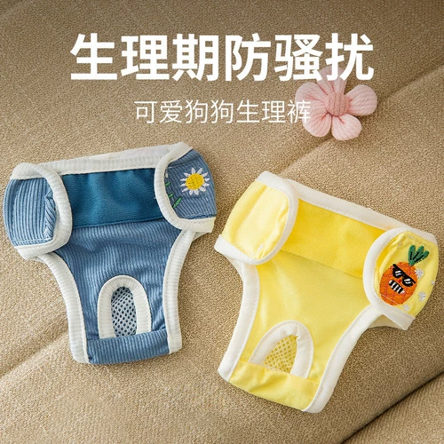 Собака тетя тетя полотенце маленькая собака тетя физиологические штаны Специальные санитарные штаны Тедди