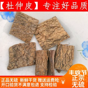 Кора Eucommia, китайские лекарственные материалы, свежие сушеные продукты, кора Eucommia, Eucommia ulmoides 500г сырого и сушеного сырья без серы