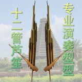 Народный бамбук национальный музыкальный инструмент 12 Dai Miao Lusheng Professional Performance Profession