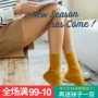 Mùa thu và mùa đông tất vớ cô gái vớ thời trang trong ống vớ màu cotton chải kỹ sinh viên Nhật Bản vớ mùa xuân và mùa thu vớ da dài