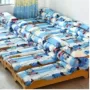 Cười Pakistan hi-chứa lõi ba mảnh bông chăn trẻ em mẫu giáo nap Liu Jiantao bông bé giường công viên - Bộ đồ giường trẻ em 	drap giường cho bé trai