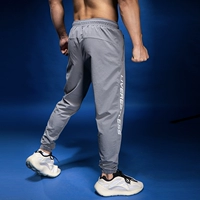 Быстросохнущие штаны для спортзала для тренировок, свободный прямой крой, для бега