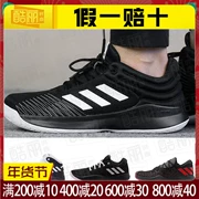 Giải phóng mặt bằng giày Adidas nam 2019 mùa xuân giày thể thao chống trượt giày bóng rổ đệm bóng rổ AP9836