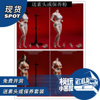 taobao agent Spot TBLEAGUE PLLB202020-S38A S39A 1/6 Plumb Fat Bags Guming Steel Bone Female Skin