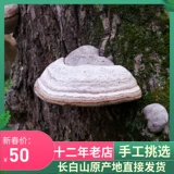 Горная гора Чанбай Чистое натуральное дикое дикое ганодерма деревянный хорчус 500 грамм подковообразных сухих товаров Linzhi разрезание на куски