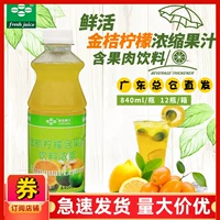 Свежий лимонный сок Kumquat содержит фрукты 840 мл концентрированного фруктового сока, толстая мякоть, пить напитки