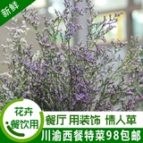 Spirit Food Food Food Декоративная любовник трава свеже