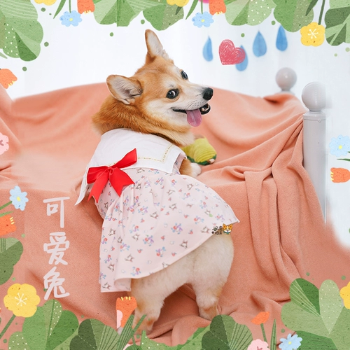 Wanwan Corgi Secret Garden Corki сладкая юбка весна и летняя летняя брызга хлопковая одежда для домашних животных собак