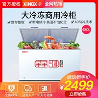 Tủ đông lạnh thương mại XINGX Star BD BC-480E - Tủ đông tủ đông funiki đứng