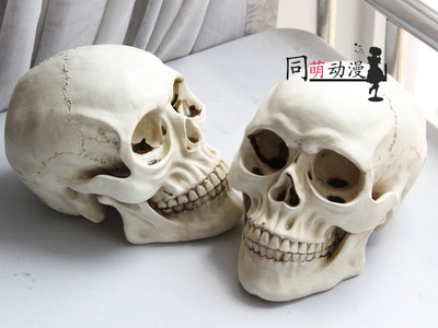 taobao agent Realistic props, skull, halloween, cosplay