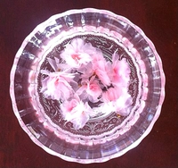 Пекарня торт мусс бисквит вода Синь Сюань торт декоративные декоративные цветы и вишневый чай