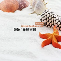 Sanhu Cichigra Demon Sands Philippine Sands Shell Class