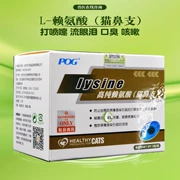 Lysine catamine bột mèo bột mèo lysine mèo axit amin mũi mèo bột mèo lạnh mũi - Cat / Dog Health bổ sung