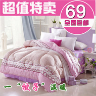 Dày mùa đông quilt được cored bởi mùa xuân và mùa thu chăn quilt đôi sinh viên duy nhất mùa đông quilt đặc biệt giải phóng mặt bằng