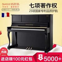 Đàn piano Camille mới 124M1 dạy đàn piano chấm điểm chuyên nghiệp chơi đàn piano thẳng đứng MỚI MỚI yamaha p120