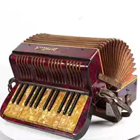 Đồ cổ châu Âu thế kỷ trước và các đồ vật cũ kiểu bàn phím phương Tây kiểu cũ accordion 25 phím 32 bass 8 sản phẩm - Nhạc cụ phương Tây violon
