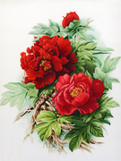 Nổi tiếng cổ thêu nghệ thuật thêu thêu diy kit người mới bắt đầu handmade sơn trang trí hoa mẫu đơn đỏ 30 * 40 CM