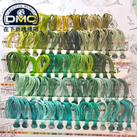 Французская линия вышивки Cross Stitch DMC Полное набор зеленой системы (94 цвет на цвет на цвет)