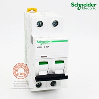 Schneider/Schneider Small Touror IC65N D20/2P IC65N C65N