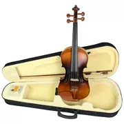 Ở nước ngoài mua đàn violon Retro 4 4 với một hộp dây cung rosin đầy đủ các nhạc cụ dây cổ điển phương Tây